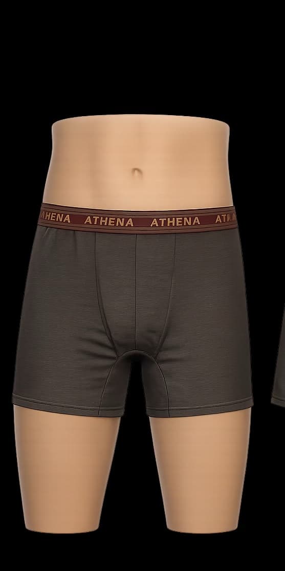 Pack 10 Boxers Premium